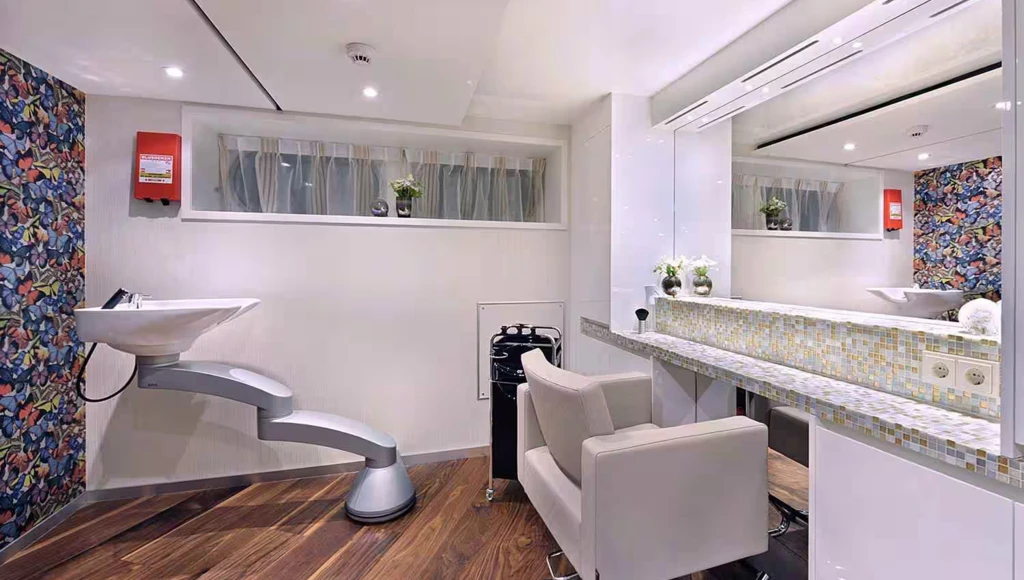 Splendors of the Rhine and Moselle: a journey to the heart of the region's vineyards and castles