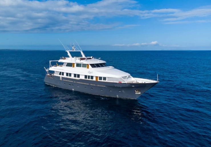 Galapagos Angel Galapagos Islands | Galapagos Angel