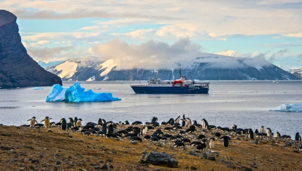 Expedición de 8 días al norte de Svalbard: entre fiordos helados, paisajes espectaculares y fauna salvaje