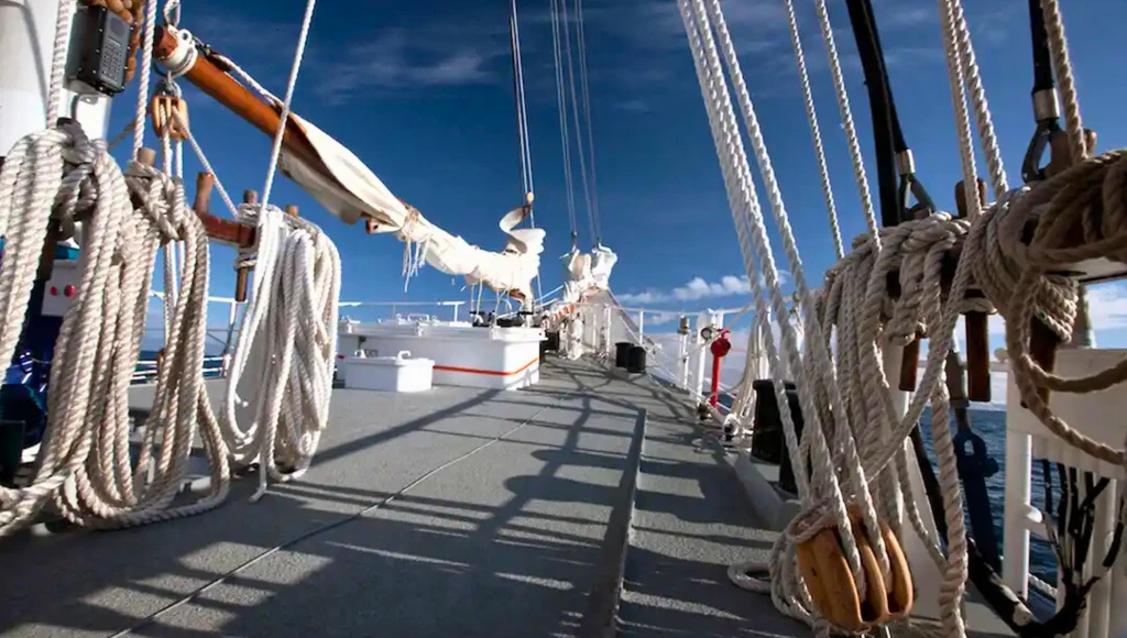 De Longyearbyen aux fjords sauvages : exploration estivale du Spitzberg à bord d'un magnifique voilier, entre toundras fleuries et glaces éternelles