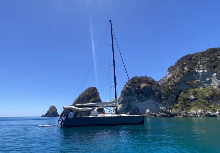 Fast Cruiser 42 Nettuno | Wasabi