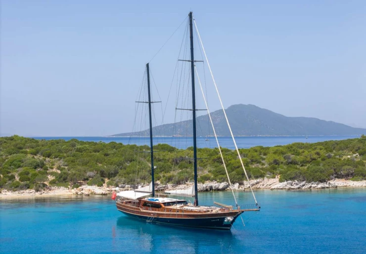 Performance  Fee Grèce | PERFORMANCE FEE