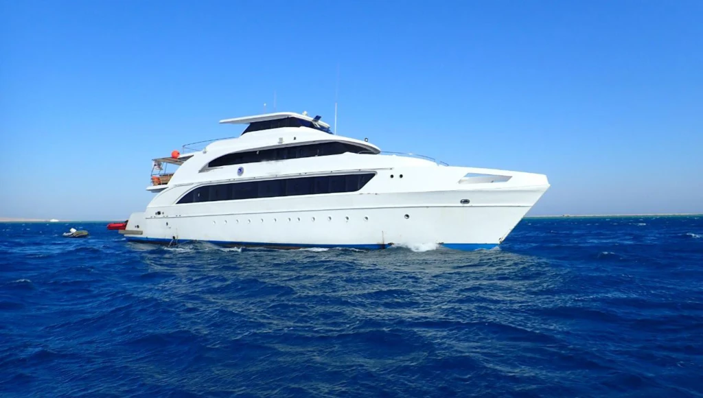 Huit jours de plongée au sud de l’Égypte : immersion au cœur des écosystèmes préservés de la mer Rouge