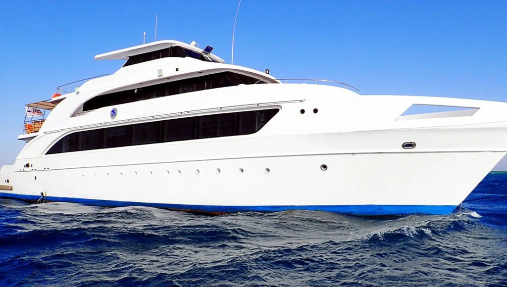 Huit jours de plongée au sud de l’Égypte : immersion au cœur des écosystèmes préservés de la mer Rouge