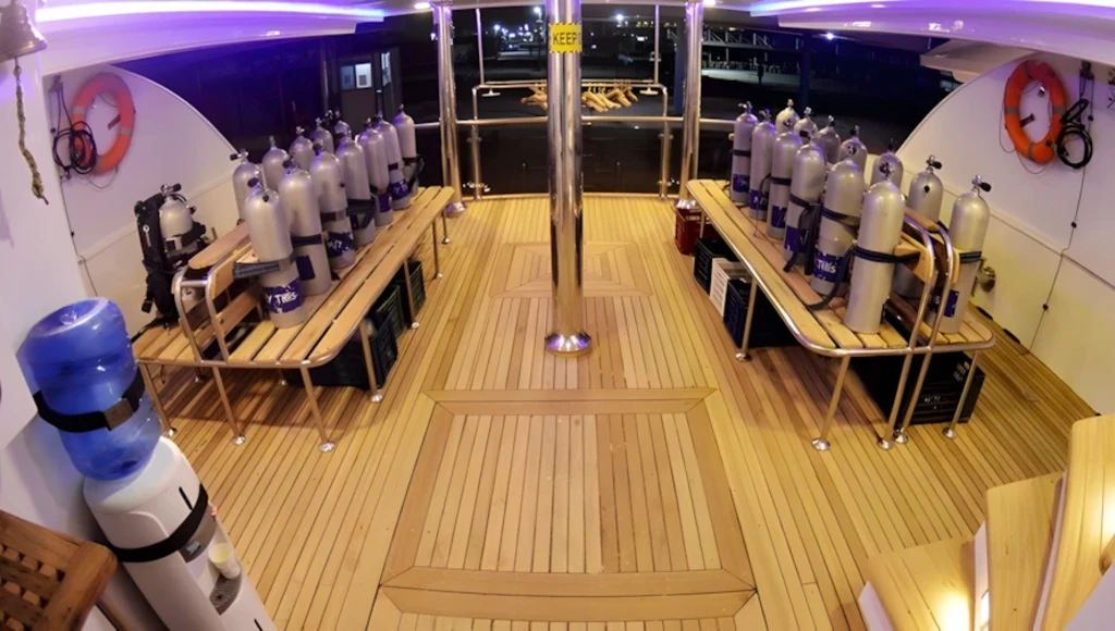 Huit jours de plongée au sud de l’Égypte : immersion au cœur des écosystèmes préservés de la mer Rouge