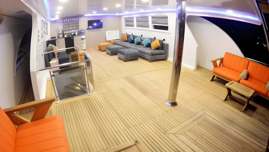 Huit jours de plongée au sud de l’Égypte : immersion au cœur des écosystèmes préservés de la mer Rouge