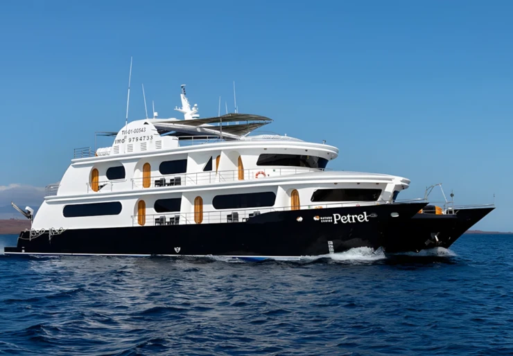 Petrel Baltra Seymour | Petrel