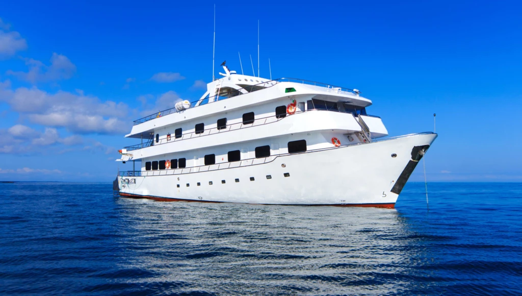 Safari marin de 7 jours aux Galápagos : entre îles volcaniques, faune endémique et confort d’un yacht élégant