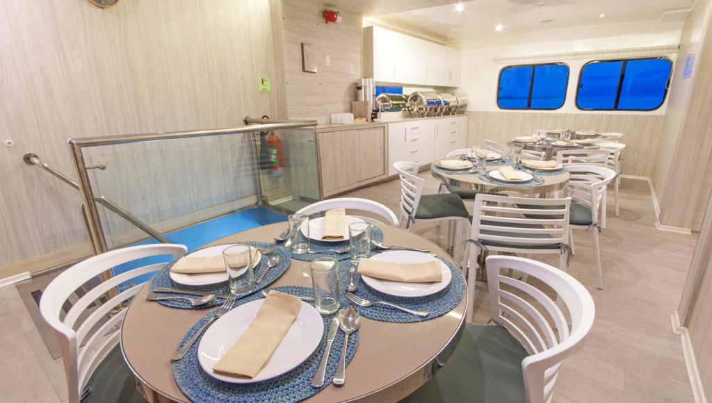 Safari marin de 7 jours aux Galápagos : entre îles volcaniques, faune endémique et confort d’un yacht élégant