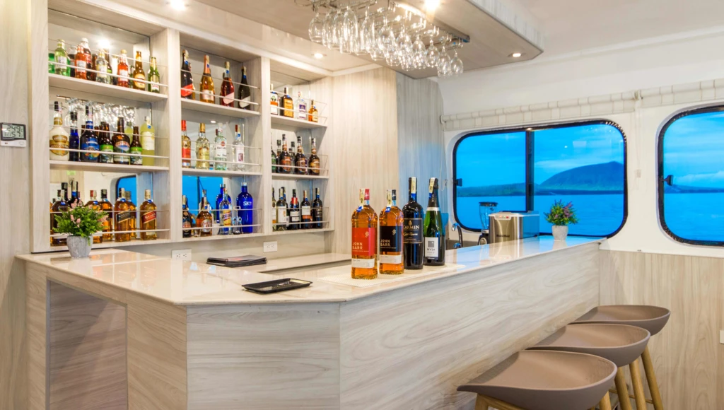 Safari marin de 7 jours aux Galápagos : entre îles volcaniques, faune endémique et confort d’un yacht élégant