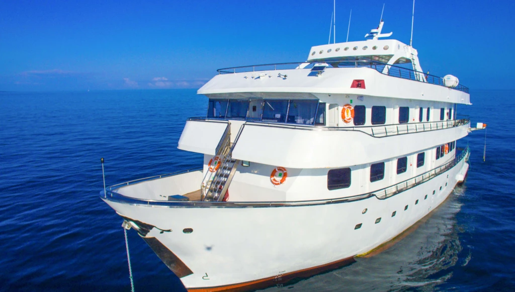 Safari marin de 7 jours aux Galápagos : entre îles volcaniques, faune endémique et confort d’un yacht élégant