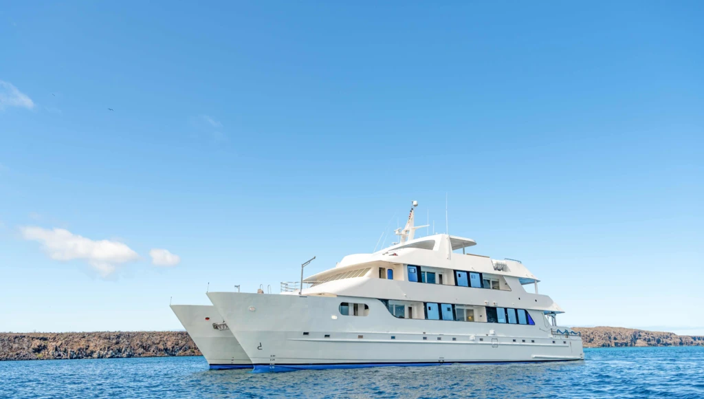 5-tägige Katamaran-Odyssee auf den Galápagosinseln: Vulkanstrände, Leguane und Seelöwen