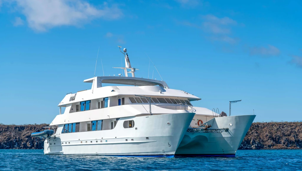 5-tägige Katamaran-Odyssee auf den Galápagosinseln: Vulkanstrände, Leguane und Seelöwen