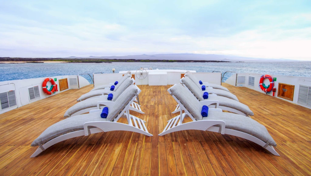 5-day expeditions to the Galapagos: from Baltra to San Cristobal, between untamed nature and unforgettable diving experiences