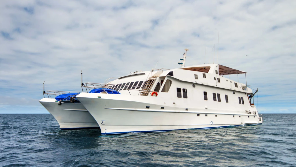 5-day expeditions to the Galapagos: from Baltra to San Cristobal, between untamed nature and unforgettable diving experiences