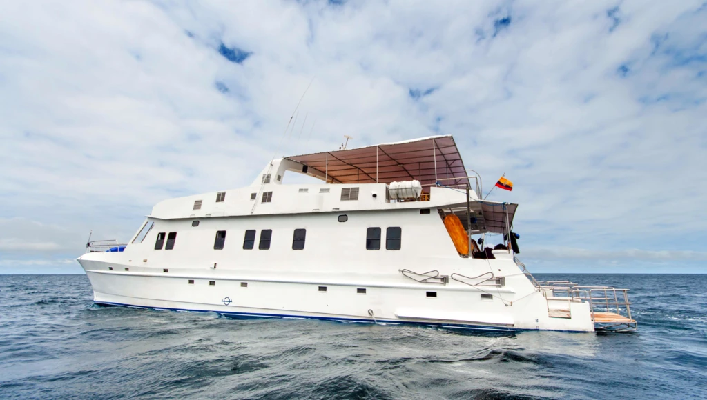 5-day expeditions to the Galapagos: from Baltra to San Cristobal, between untamed nature and unforgettable diving experiences