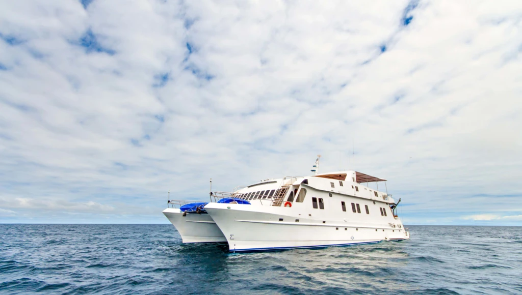 5-day expeditions to the Galapagos: from Baltra to San Cristobal, between untamed nature and unforgettable diving experiences