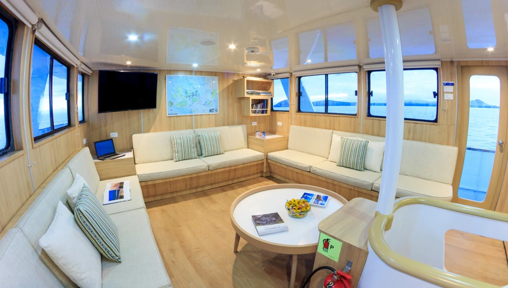 8 giorni di avventura subacquea alle Galapagos: immersioni guidate, incontri con squali balena e altre specie marine