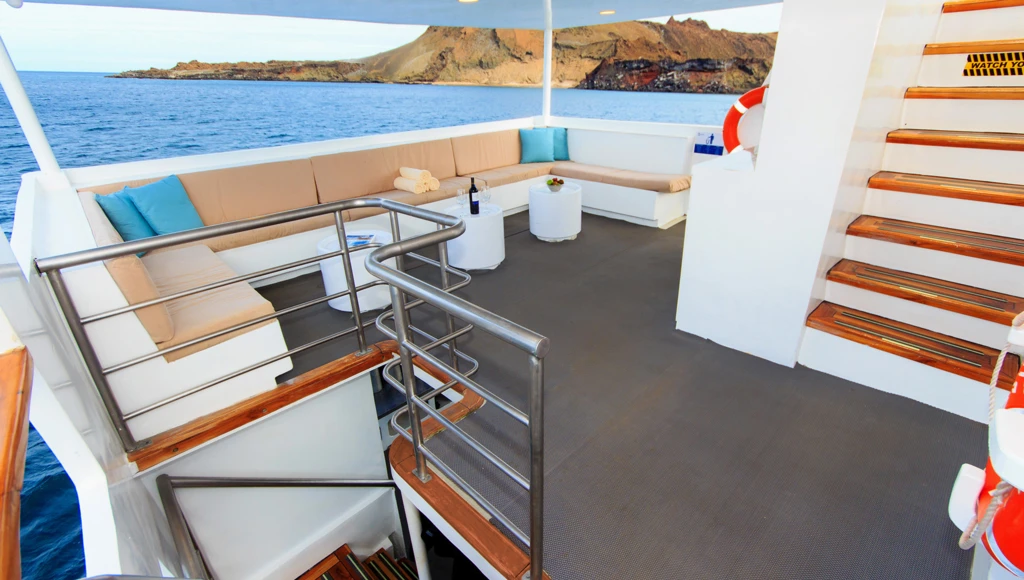 8 giorni di avventura subacquea alle Galapagos: immersioni guidate, incontri con squali balena e altre specie marine