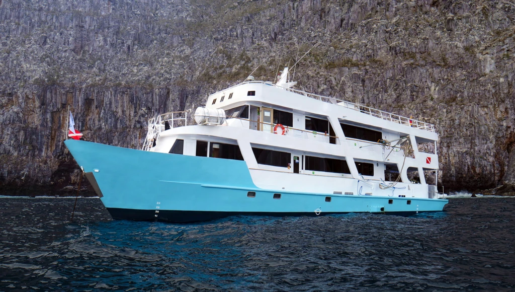 8 giorni di avventura subacquea alle Galapagos: immersioni guidate, incontri con squali balena e altre specie marine