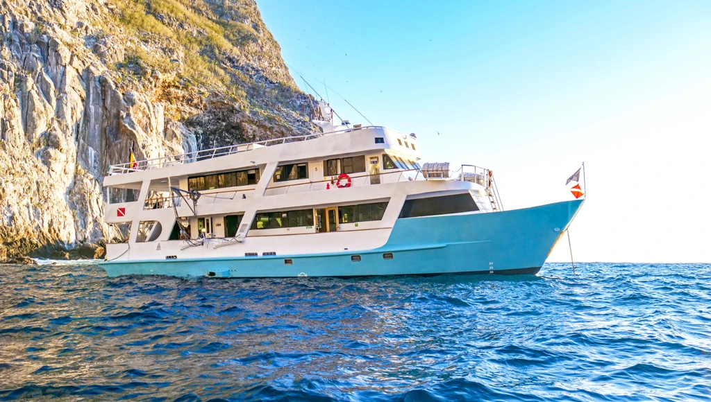 8 giorni di avventura subacquea alle Galapagos: immersioni guidate, incontri con squali balena e altre specie marine