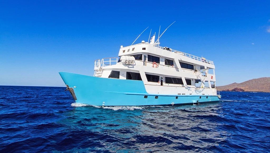 8 giorni di avventura subacquea alle Galapagos: immersioni guidate, incontri con squali balena e altre specie marine