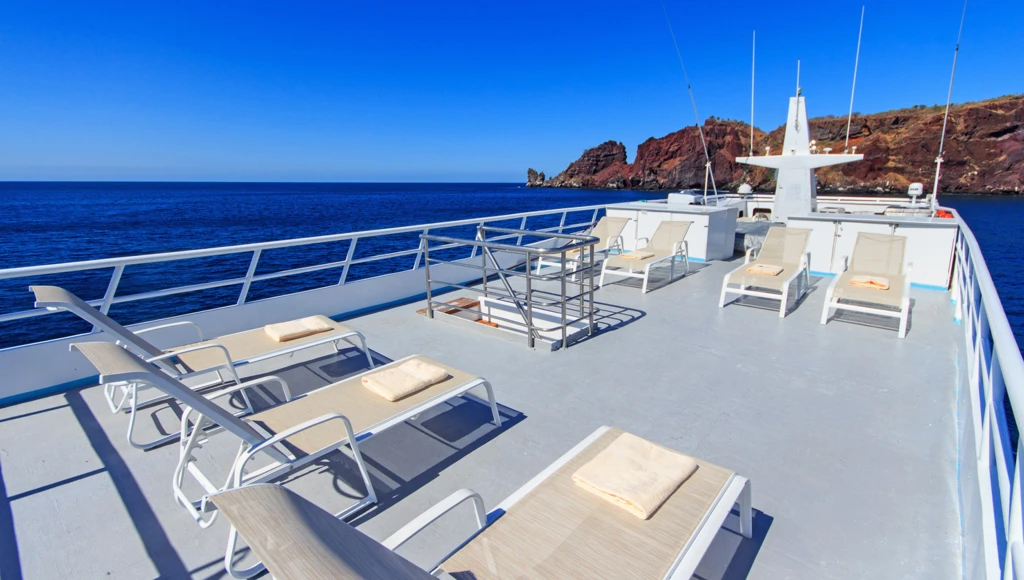 8 giorni di avventura subacquea alle Galapagos: immersioni guidate, incontri con squali balena e altre specie marine