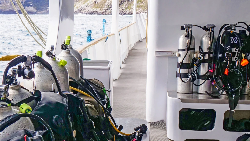 8 giorni di avventura subacquea alle Galapagos: immersioni guidate, incontri con squali balena e altre specie marine