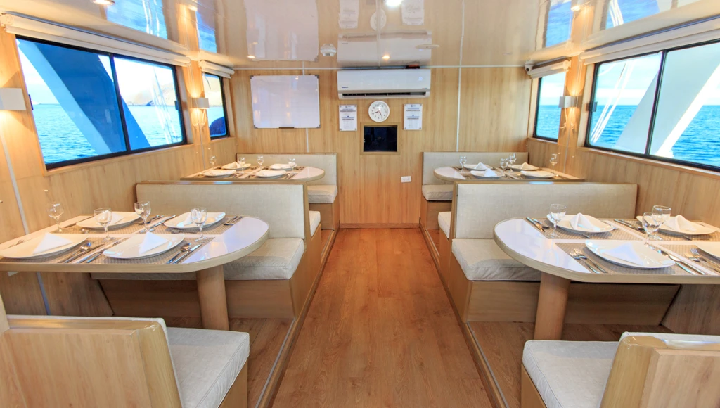 8 giorni di avventura subacquea alle Galapagos: immersioni guidate, incontri con squali balena e altre specie marine