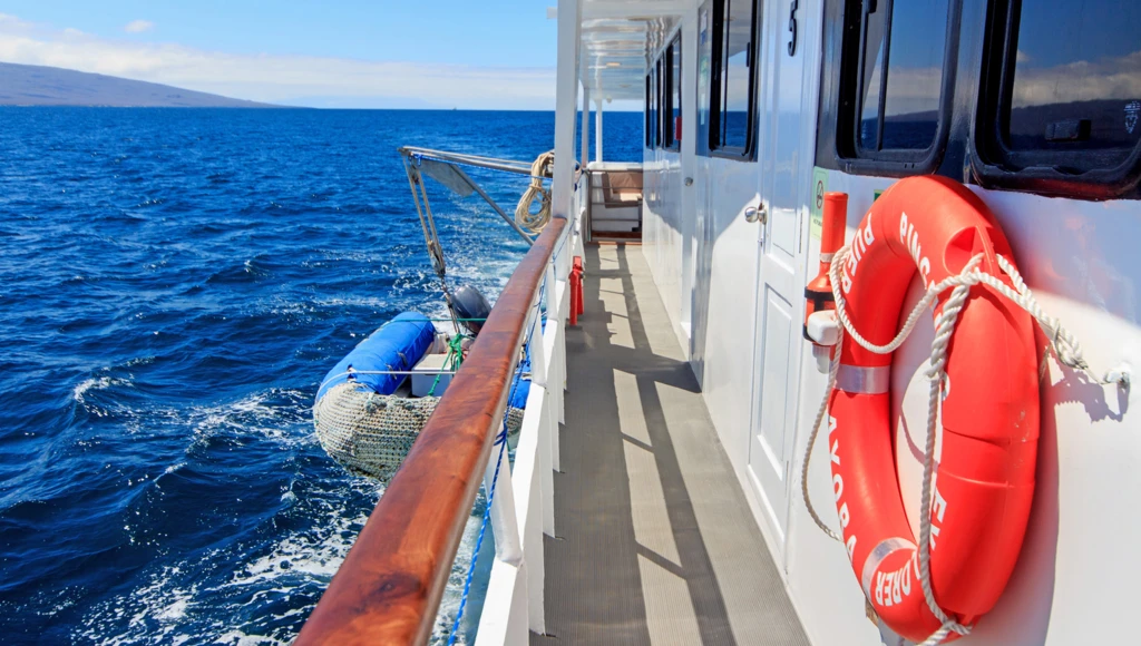 8 giorni di avventura subacquea alle Galapagos: immersioni guidate, incontri con squali balena e altre specie marine