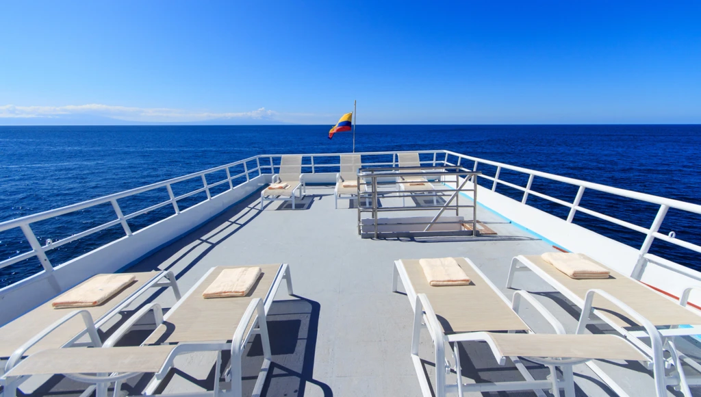 8 giorni di avventura subacquea alle Galapagos: immersioni guidate, incontri con squali balena e altre specie marine