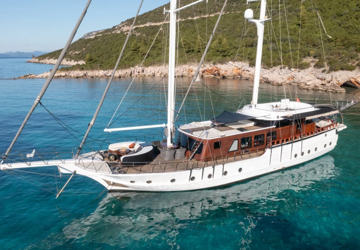 Phoenix Bronze Port de Split | Phoenix Bronze