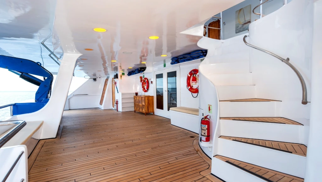 Spedizione di 8 giorni alle Galápagos, da Isabela a Española: tra snorkeling, escursioni e alla scoperta di una fauna unica al mondo