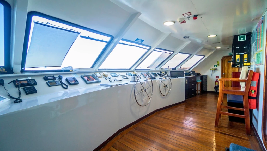 Spedizione di 8 giorni alle Galápagos, da Isabela a Española: tra snorkeling, escursioni e alla scoperta di una fauna unica al mondo