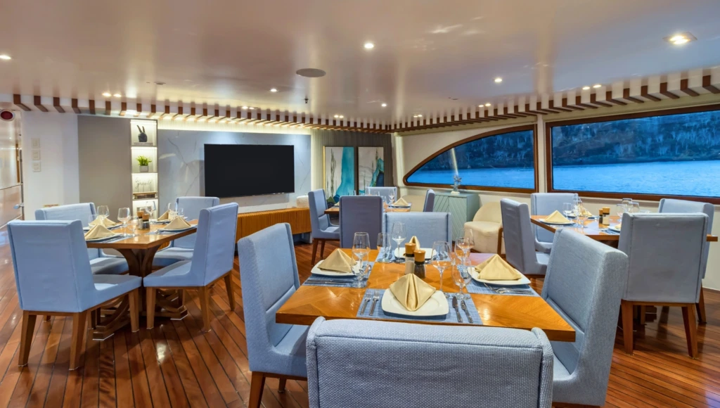 Spedizione di 8 giorni alle Galápagos, da Isabela a Española: tra snorkeling, escursioni e alla scoperta di una fauna unica al mondo