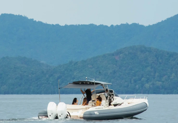 Tiger Lily Royal Marina | 