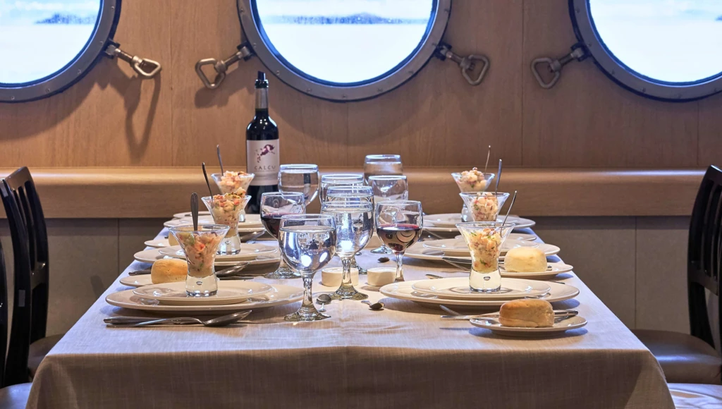 At the edge of wild Patagonia: a 5-day cruise between the fjords and glaciers of Tierra del Fuego, from Punta Arenas to Ushuaia