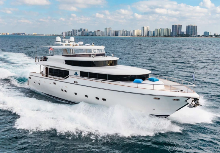 Southern Belle Antillen | SOUTHERN BELLE