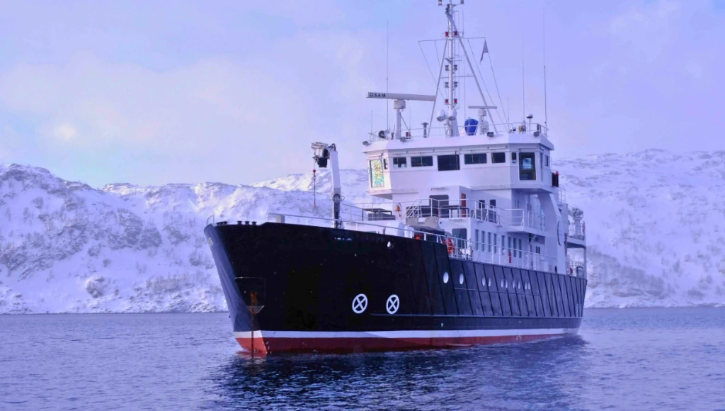 Croisière polaire de 7 jours dans les Lofoten : fjords du Nordland, villages de pêcheurs et observation des cétacés
