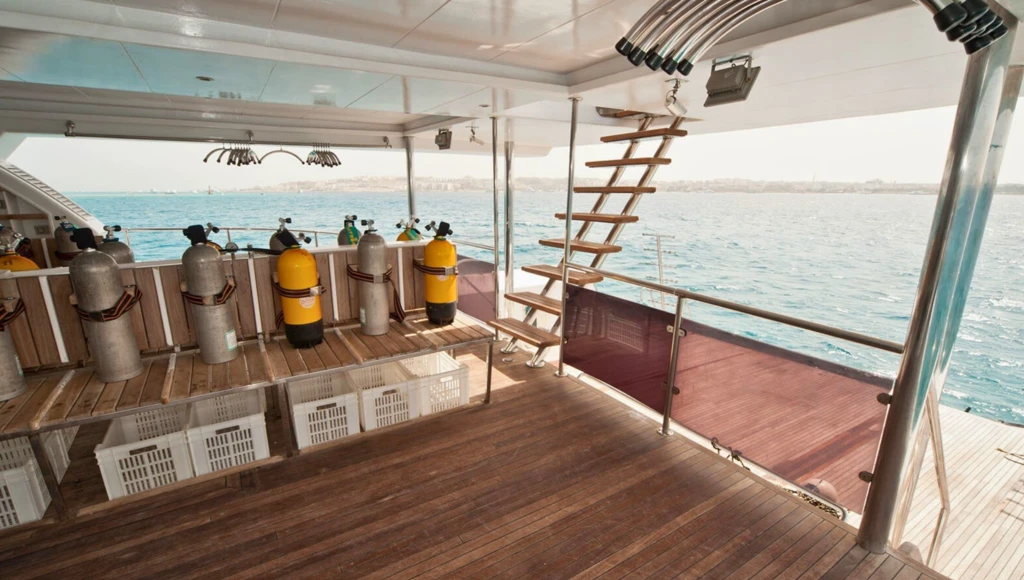 Plongées exceptionnelles sur les côtes du Sinaï et au cœur de la mer Rouge lors d'une croisière de 8 jours