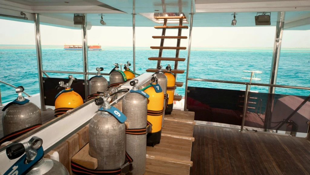 Plongées exceptionnelles sur les côtes du Sinaï et au cœur de la mer Rouge lors d'une croisière de 8 jours