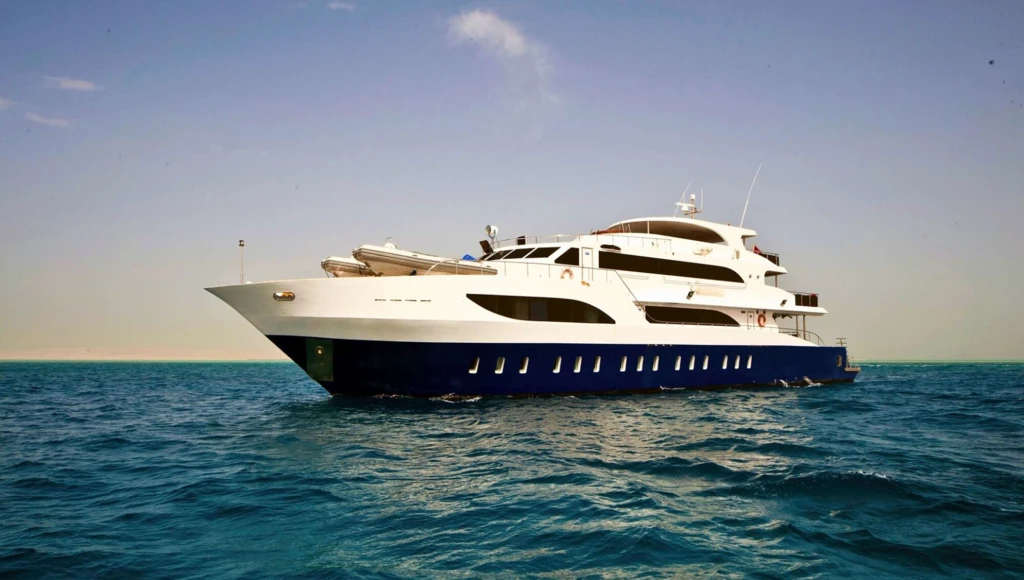 Plongées exceptionnelles sur les côtes du Sinaï et au cœur de la mer Rouge lors d'une croisière de 8 jours