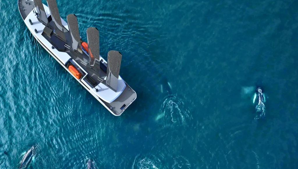 Automne arctique aux Lofoten : 8 jours entre fjords brumeux et villages vikings sous le crépuscule boréal