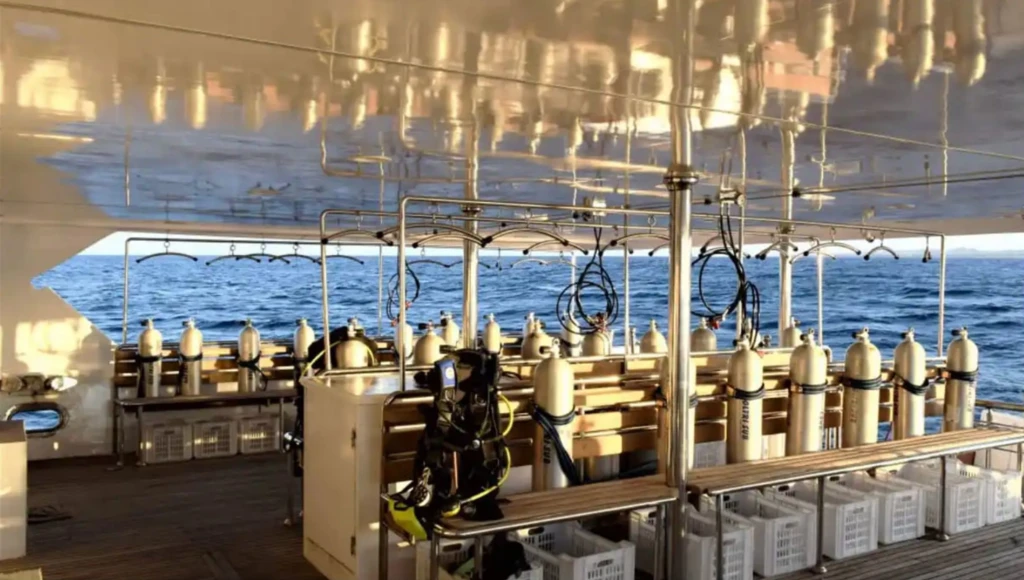 Huit jours de croisière-plongée entre Tiran, Ras Mohamed et les grandes épaves de la mer Rouge