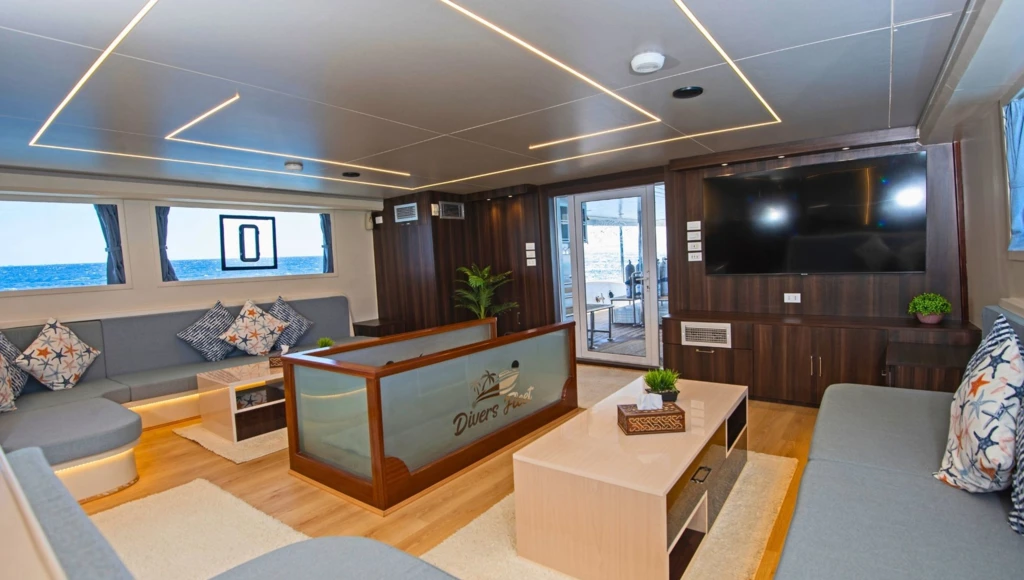 Le Triangle d’or de la mer Rouge en 8 jours : plongées inoubliables à Brothers, Daedalus et Elphinstone