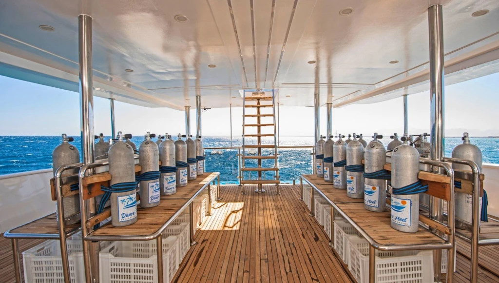 Le Triangle d’or de la mer Rouge en 8 jours : plongées inoubliables à Brothers, Daedalus et Elphinstone