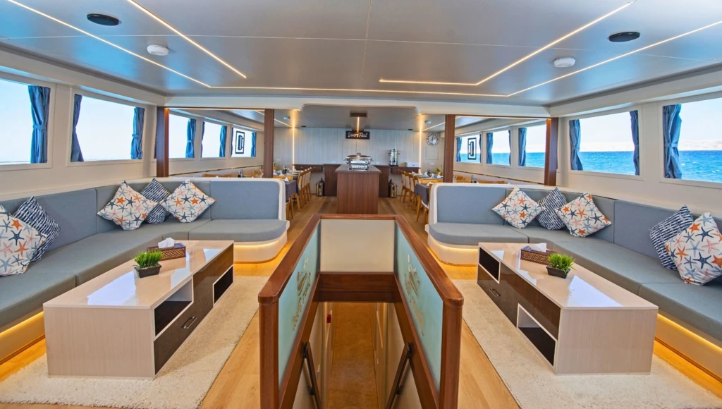 Le Triangle d’or de la mer Rouge en 8 jours : plongées inoubliables à Brothers, Daedalus et Elphinstone