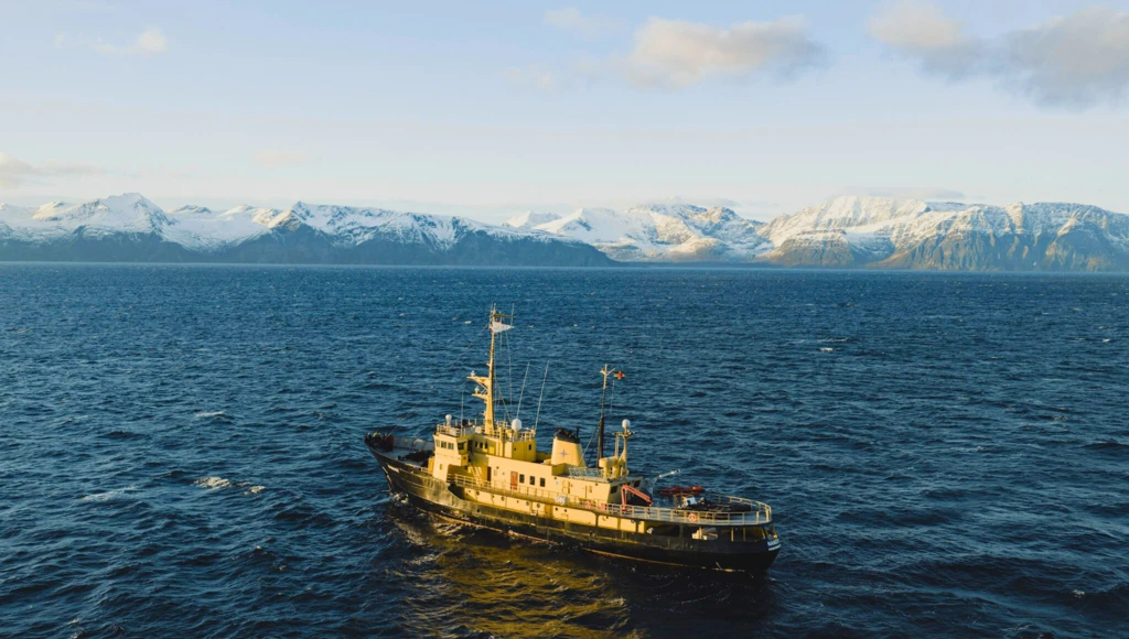 Polare Frühling auf Spitzbergen: 9-tägige Kreuzfahrt durch die norwegischen Fjorde, zwischen unberührter Natur, Polarlandschaften und Wildtieren