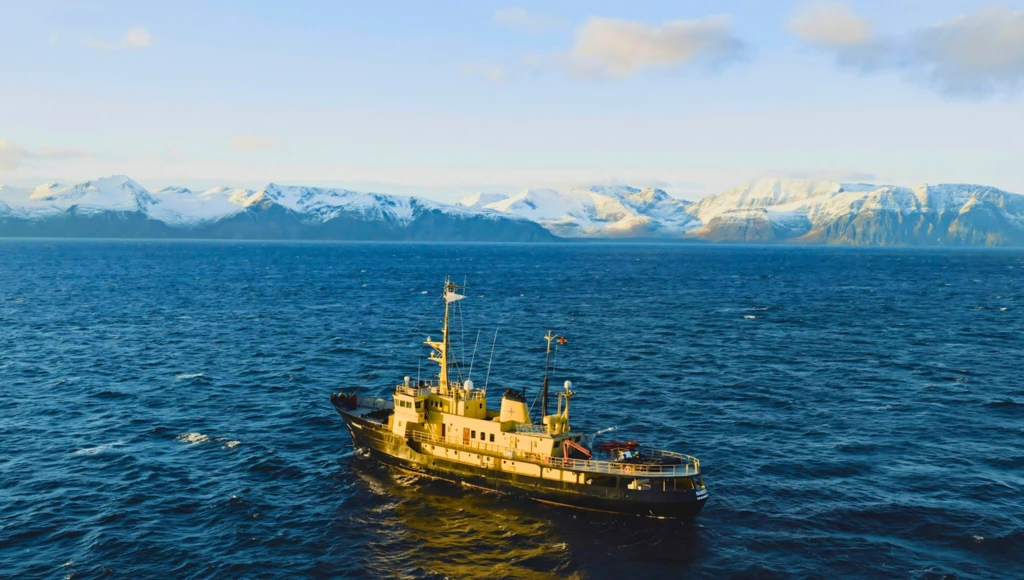 8-tägige Expedition nach Grönland: Nordlichter in Nuuk, die Paamiut-Gletscher und die Fjorde von Qaqortoq