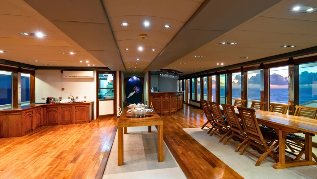 Diving in the heart of the Maldives: 8 days among paradise atolls, manta rays, whale sharks, and marine treasures